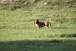 resIMG_20110416_5365.JPG